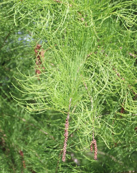 �V�_�����N�E�V���E�t