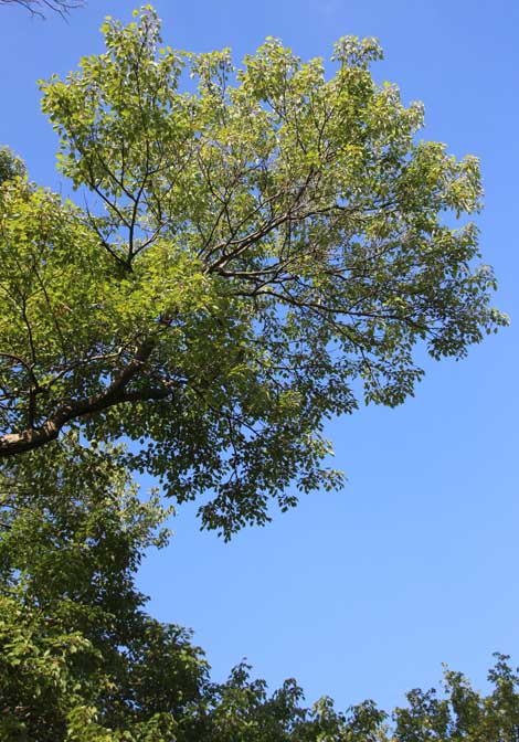 �A�����J�n�i�m�L