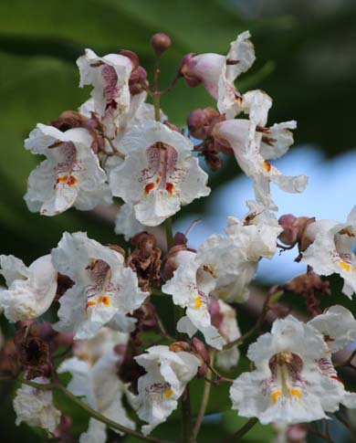 �A�����J�L�T�T�Q