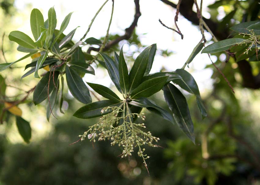 �q�}�����A�Z�r