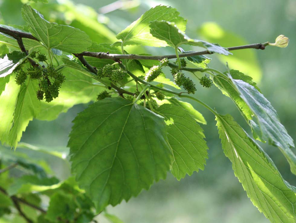 �A�J�~�O��