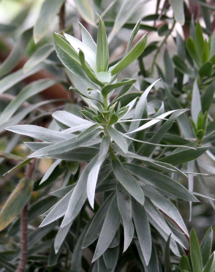 �M�����E�W��