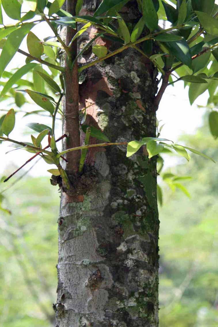 �{���l�I�A�K�`�X