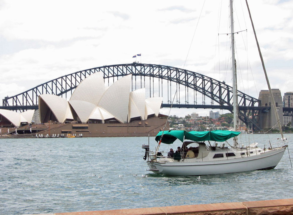 �V�h�j�[�I�y����