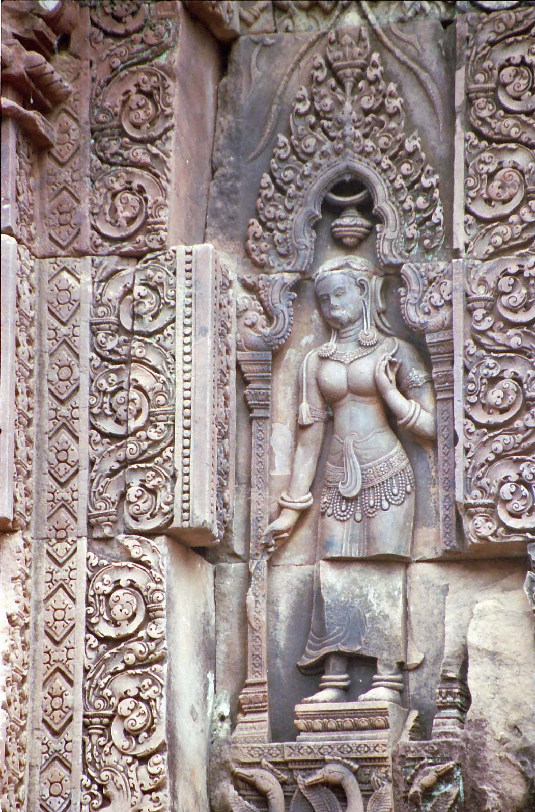 �f�o�^�[��