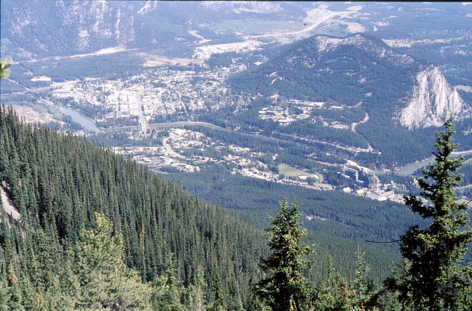 �T���t�@�[�R�o���t�W�]