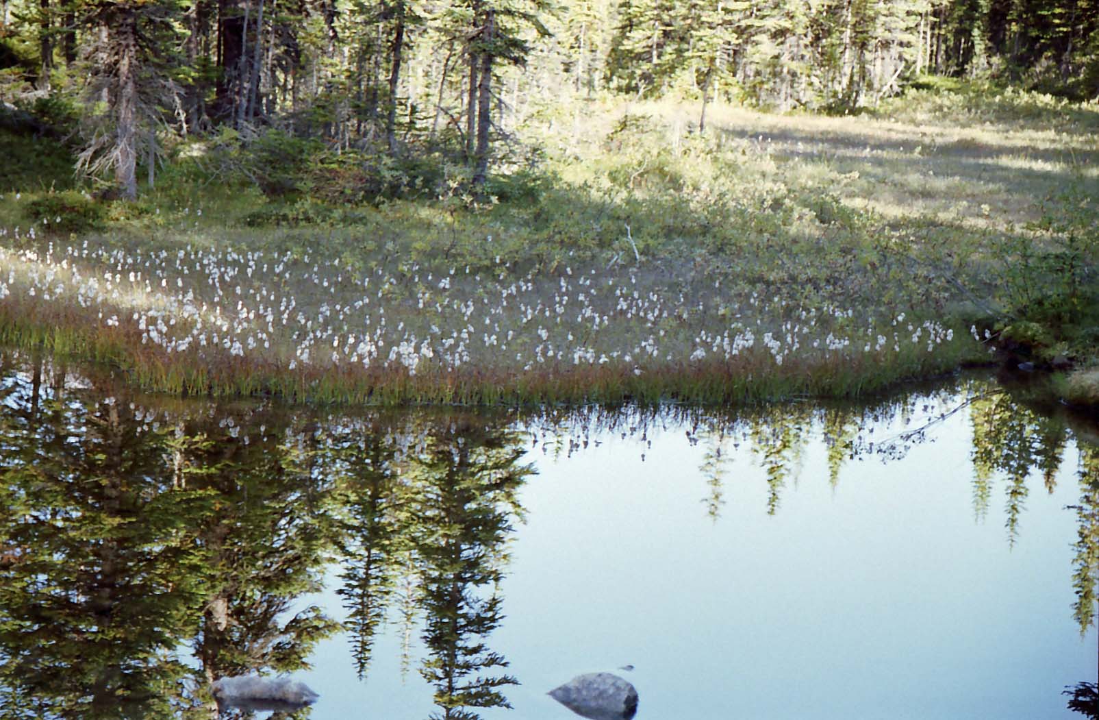 �A�T�o�X�J�X��