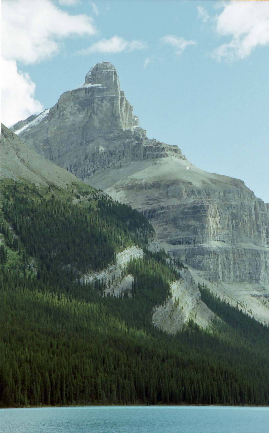 �}���[����