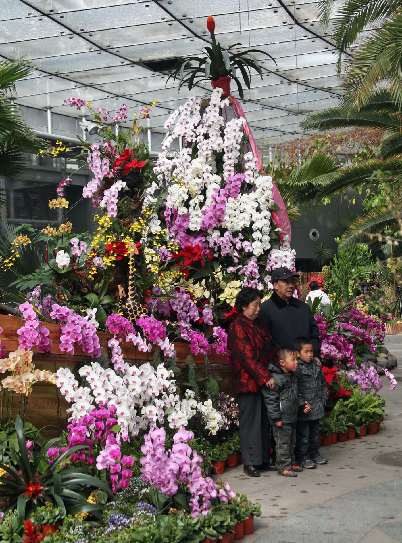 ����������