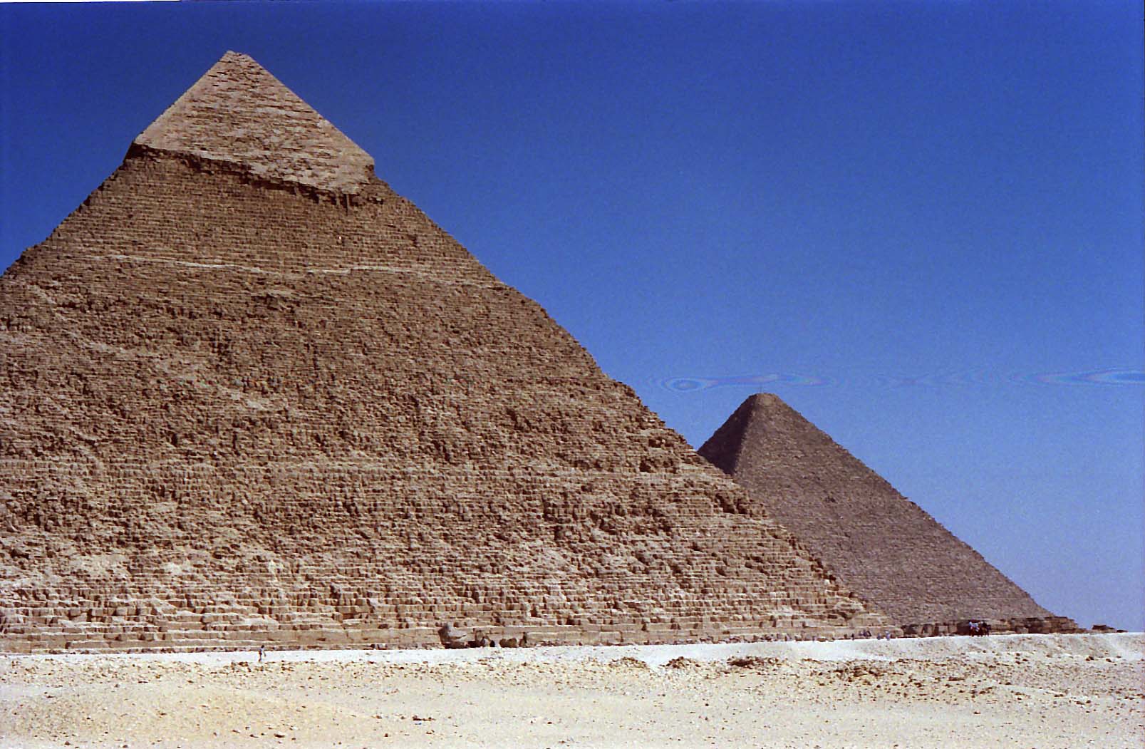 �J�t���[���ƃN�t���̃s���~�b�h