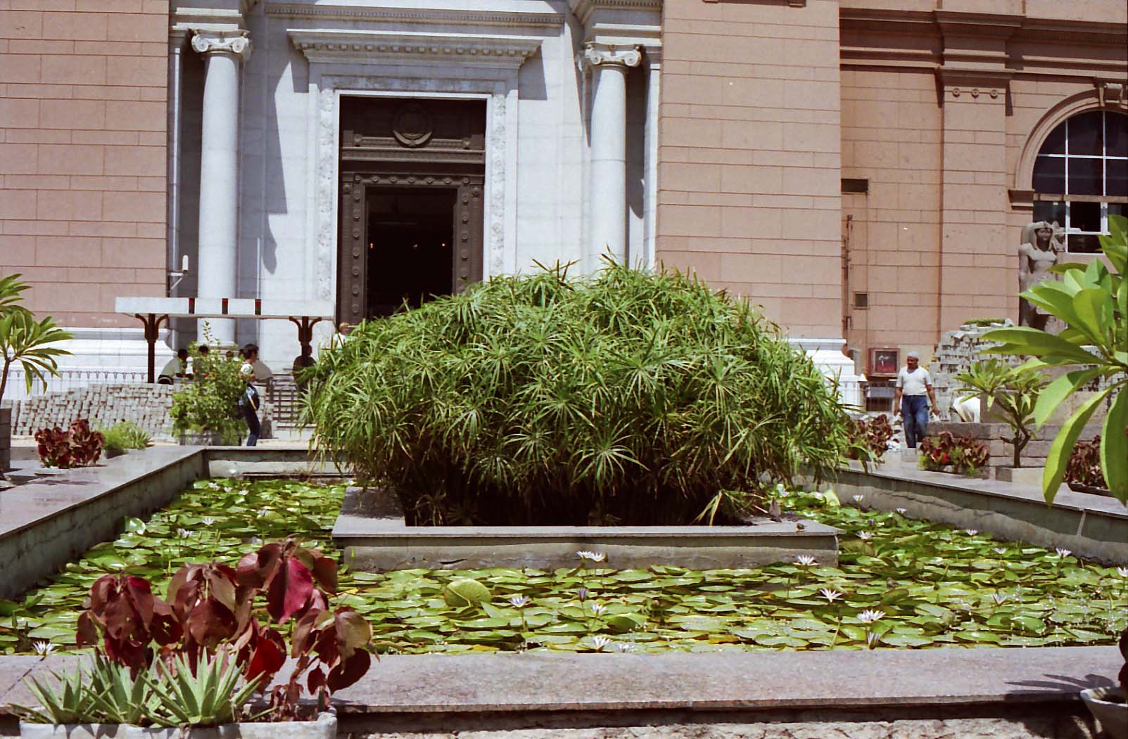 �G�W�v�g�l�Êw������