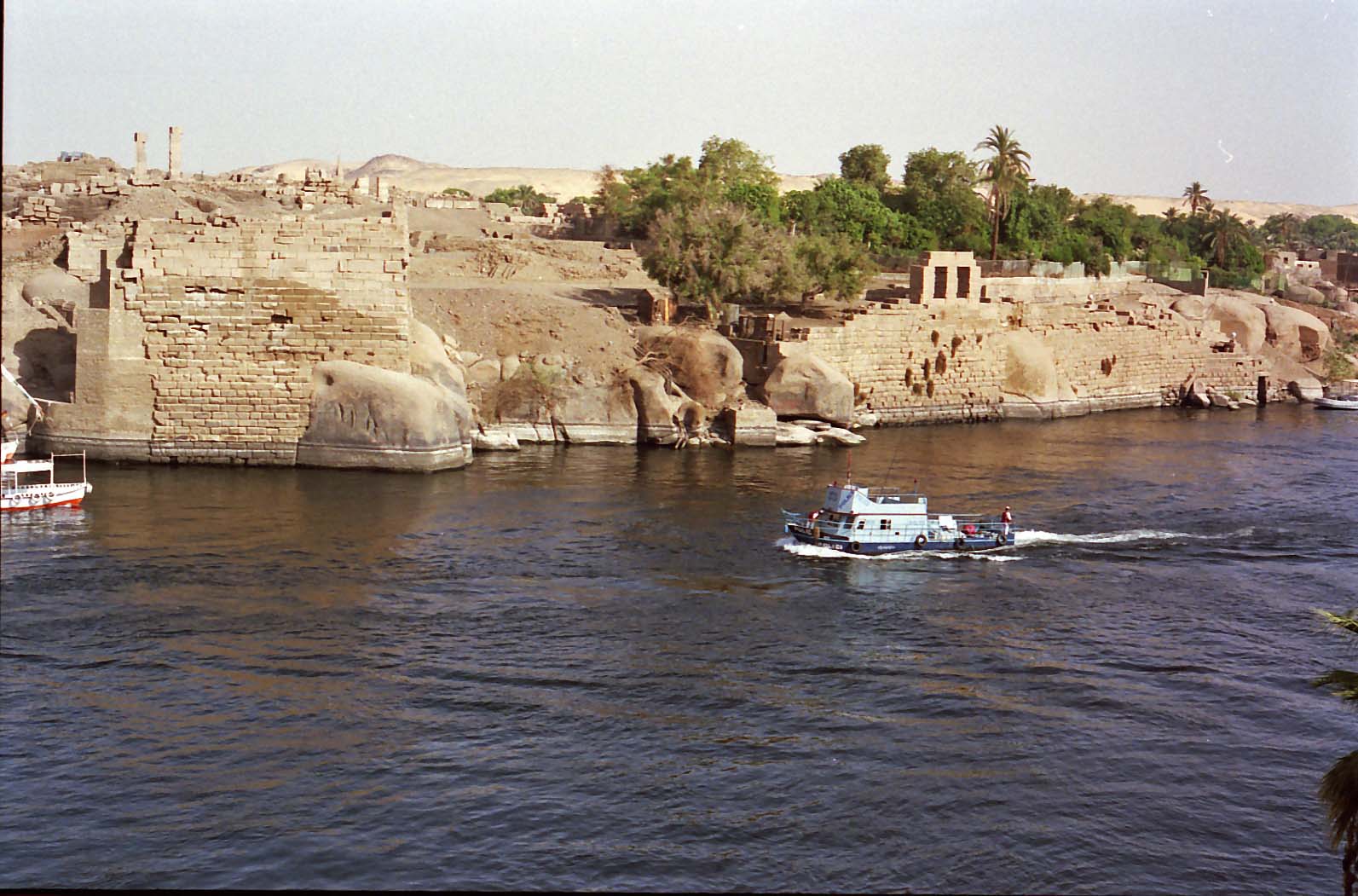 �i�C����