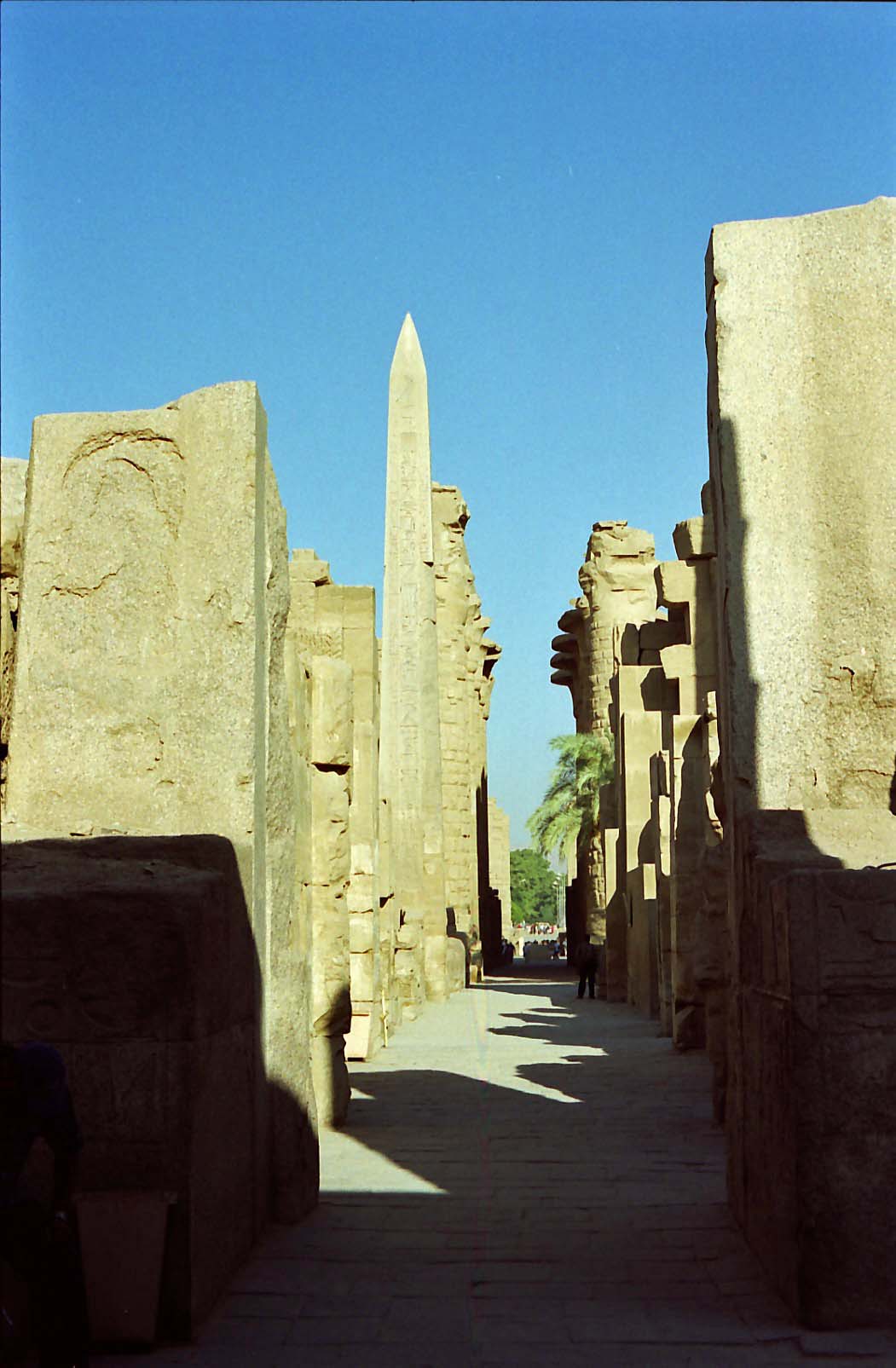 �J���i�b�N�_�a