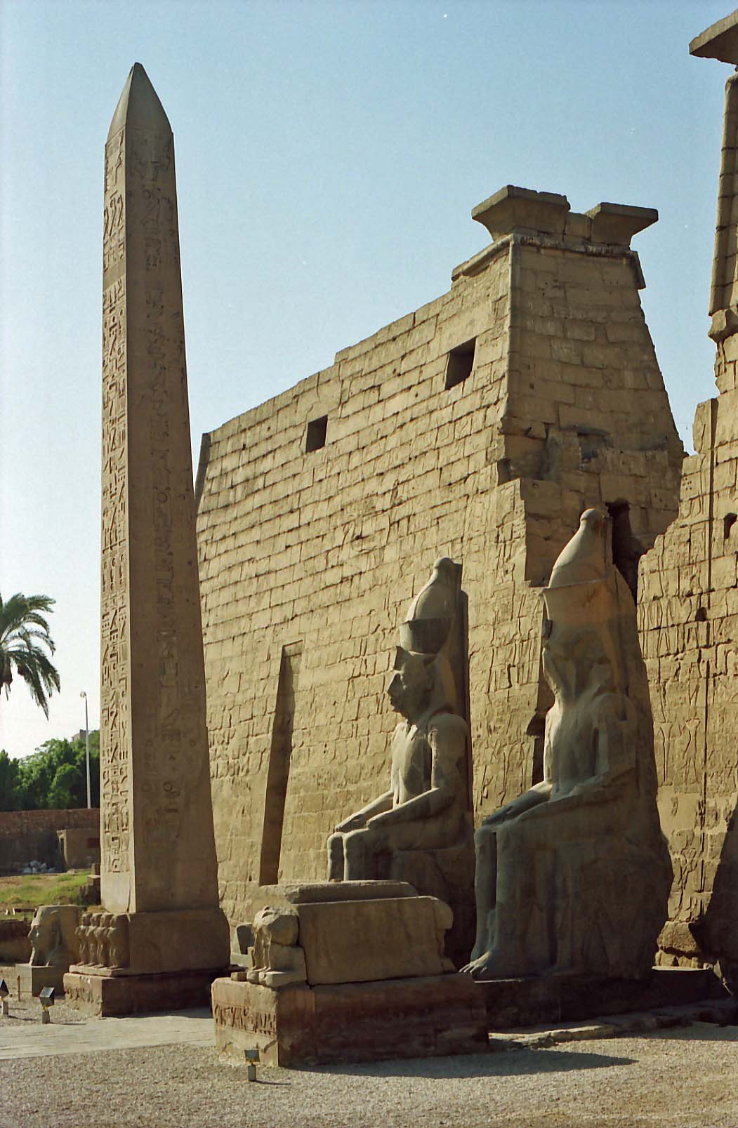 ���z�_���[