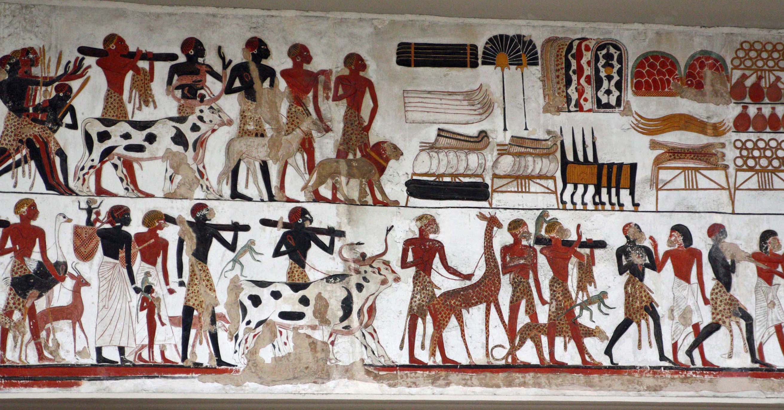 �G�W�v�g�G��