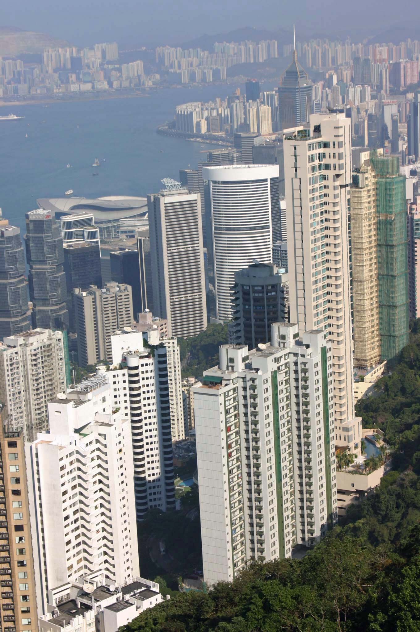 �r�N�g���A�s�[�N����̍��`��