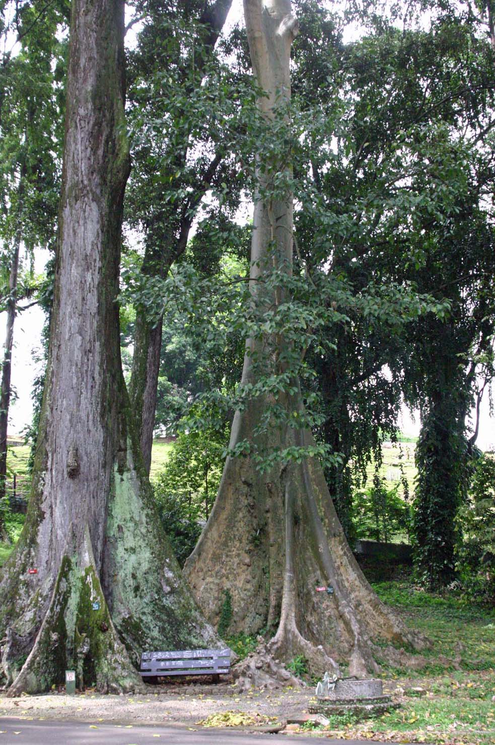 ���l�̃x���`