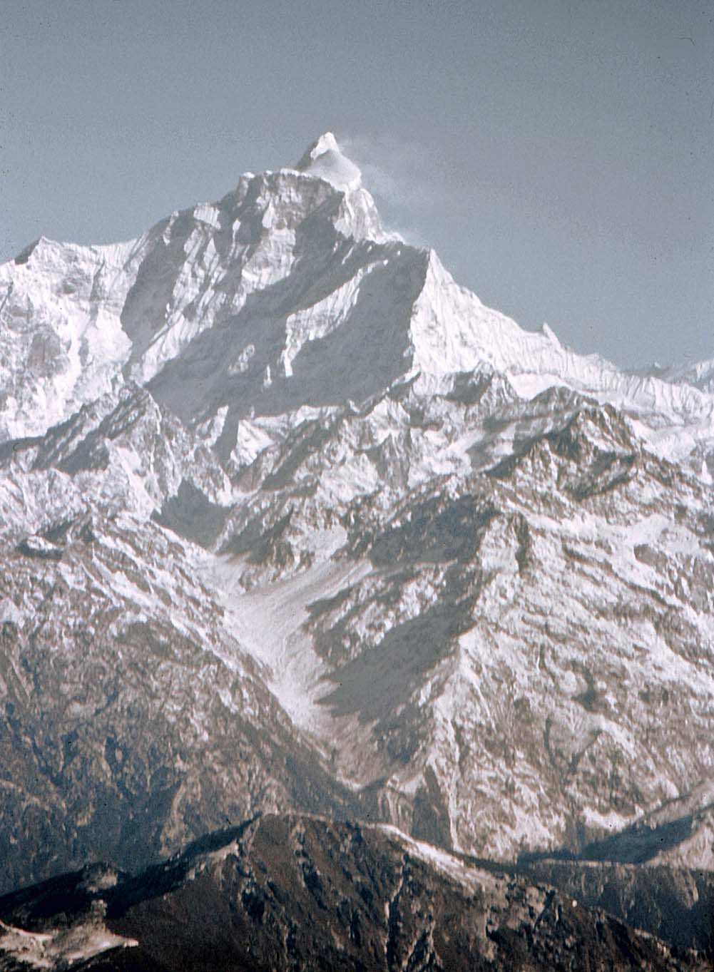 �K�E���T���J�[��