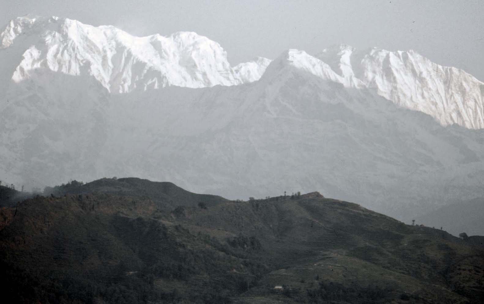 �A���A�v���i���